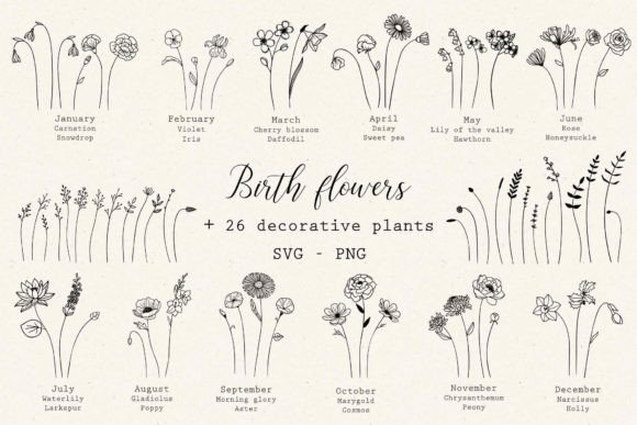 Boho Birth Month Flowers Bundle Svg for Crafts and Graphics