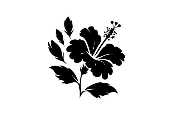 Hibiscus Flower Outline Vector Review